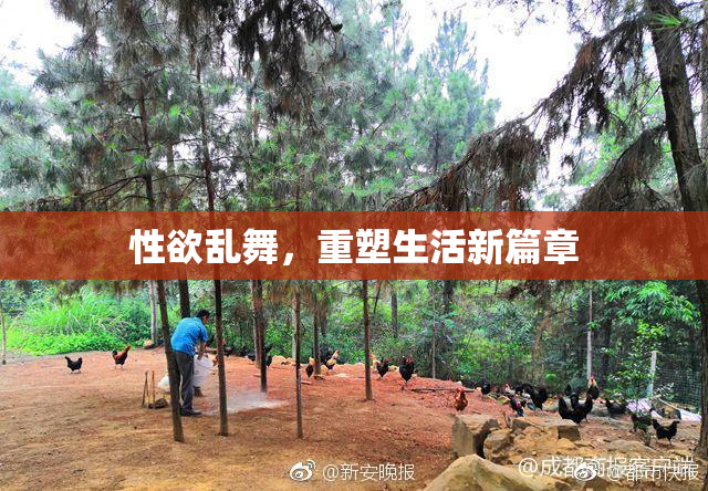 性欲乱舞，重塑生活新篇章
