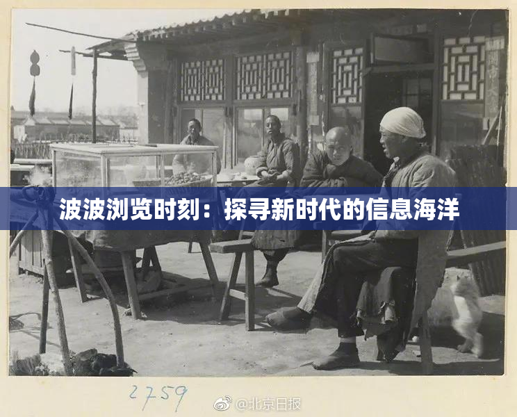 波波浏览时刻：探寻新时代的信息海洋