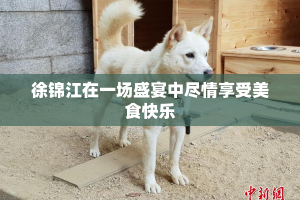 徐锦江在一场盛宴中尽情享受美食快乐