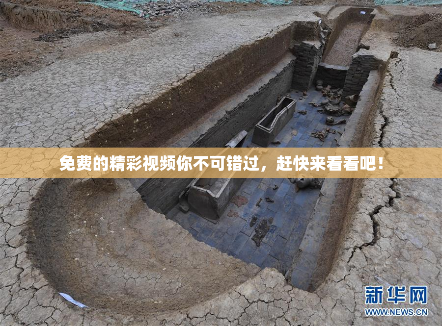 免费的精彩视频你不可错过，赶快来看看吧！