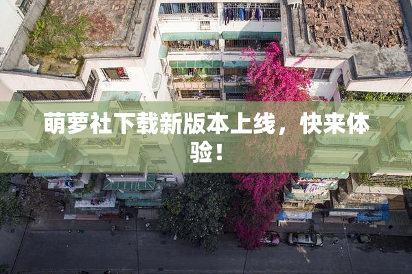 萌萝社下载新版本上线，快来体验！