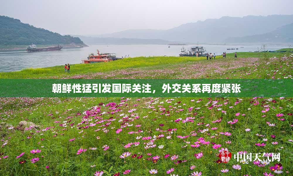 朝鲜性猛引发国际关注，外交关系再度紧张