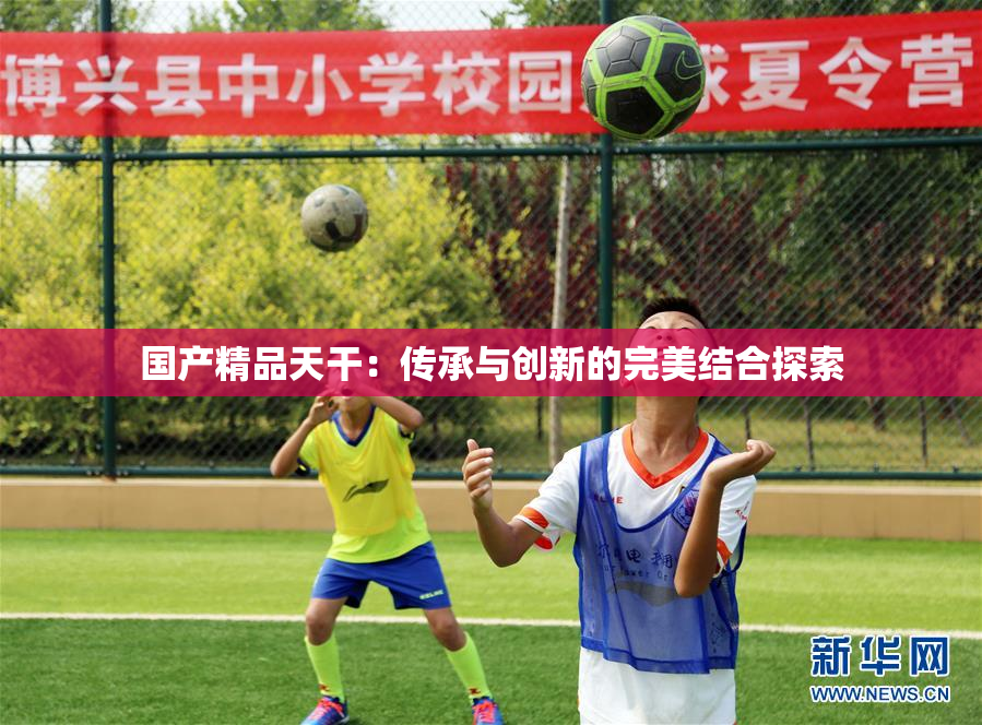 国产精品天干：传承与创新的完美结合探索