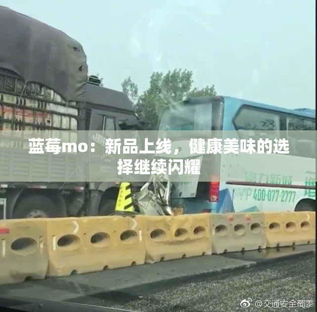 蓝莓mo：新品上线，健康美味的选择继续闪耀