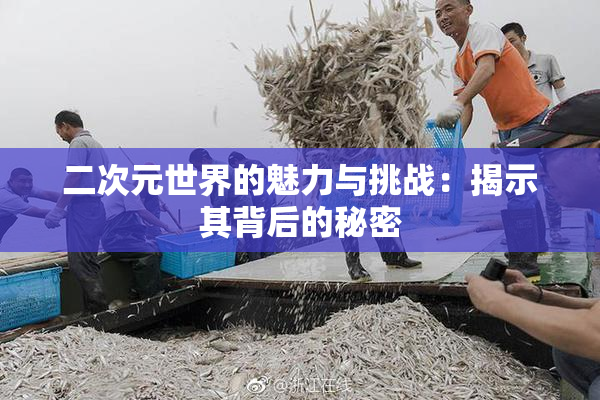 二次元世界的魅力与挑战：揭示其背后的秘密