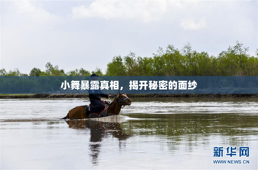 小舞暴露真相，揭开秘密的面纱
