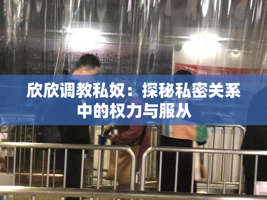 欣欣调教私奴：探秘私密关系中的权力与服从