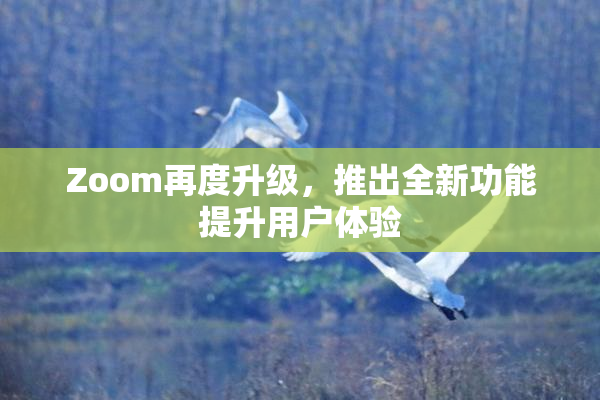 Zoom再度升级，推出全新功能提升用户体验