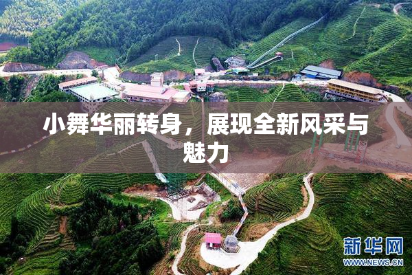 小舞华丽转身，展现全新风采与魅力
