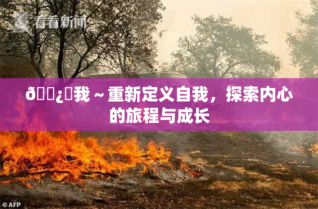 🌿‌我～重新定义自我，探索内心的旅程与成长