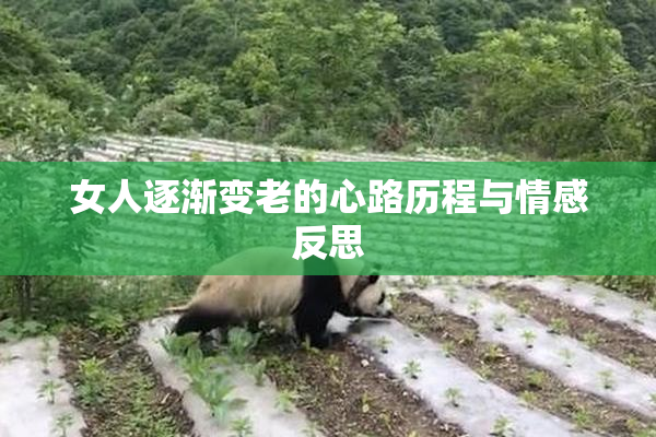 女人逐渐变老的心路历程与情感反思