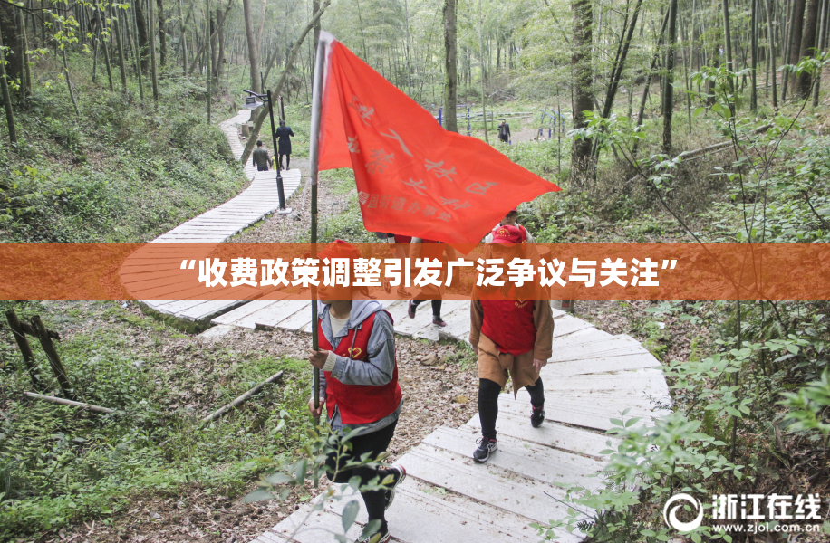 “收费政策调整引发广泛争议与关注”