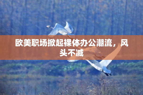 欧美职场掀起裸体办公潮流，风头不减