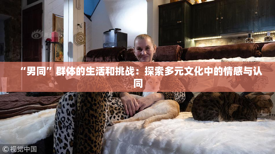 “男同”群体的生活和挑战：探索多元文化中的情感与认同