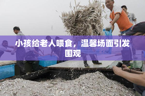 小孩给老人喂食，温馨场面引发围观