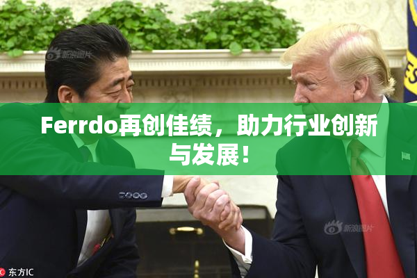 Ferrdo再创佳绩，助力行业创新与发展！
