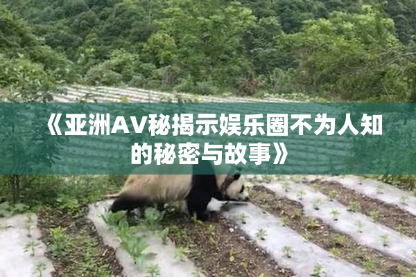 《亚洲AV秘揭示娱乐圈不为人知的秘密与故事》