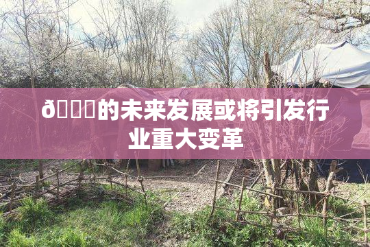 🈚的未来发展或将引发行业重大变革