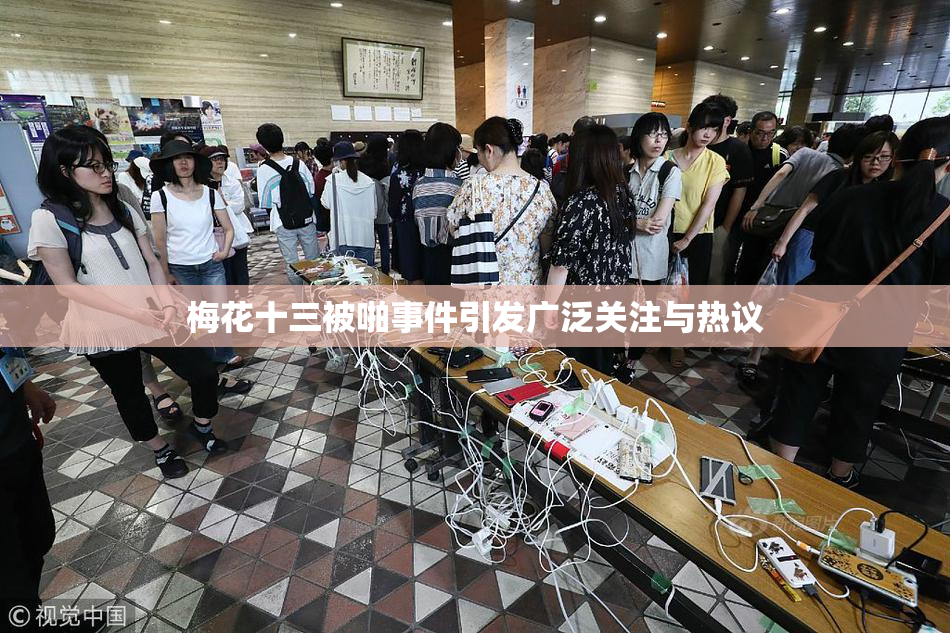梅花十三被啪事件引发广泛关注与热议