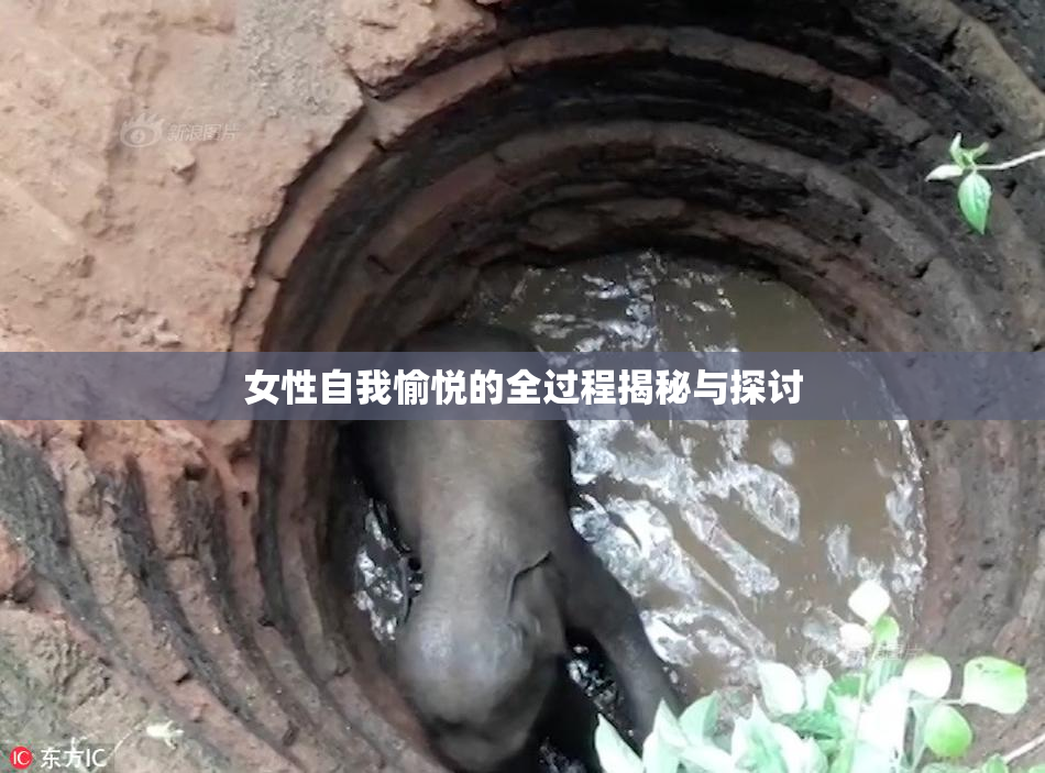 女性自我愉悦的全过程揭秘与探讨