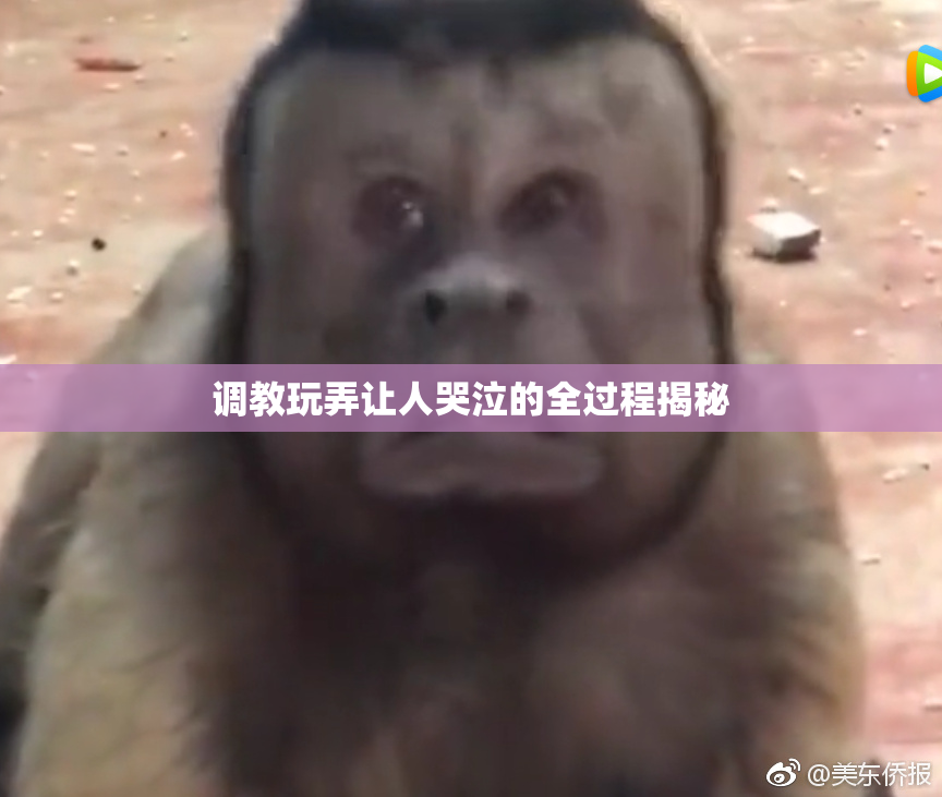调教玩弄让人哭泣的全过程揭秘