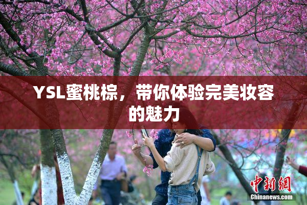 YSL蜜桃棕，带你体验完美妆容的魅力