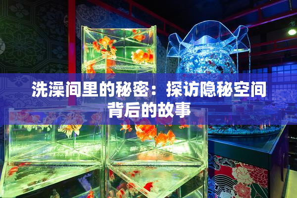 洗澡间里的秘密：探访隐秘空间背后的故事