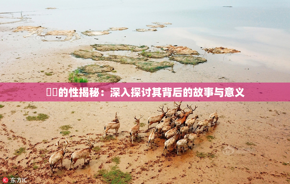 妺妺的性揭秘：深入探讨其背后的故事与意义