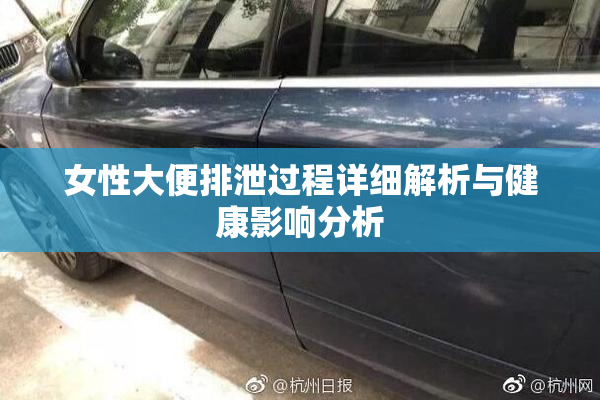 女性大便排泄过程详细解析与健康影响分析