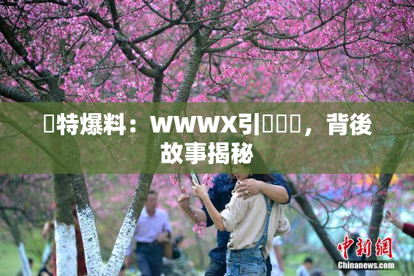 獨特爆料：WWWX引發熱議，背後故事揭秘
