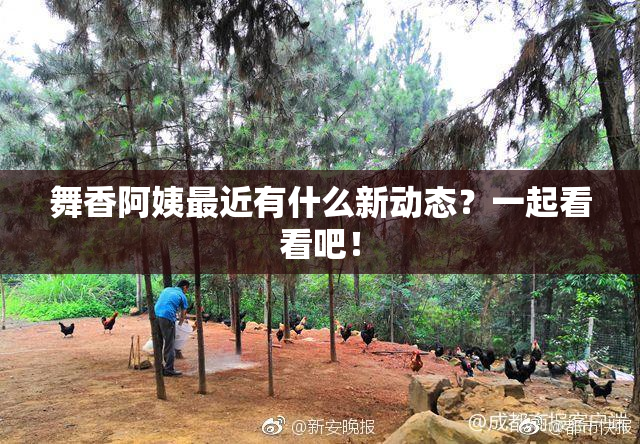 舞香阿姨最近有什么新动态？一起看看吧！