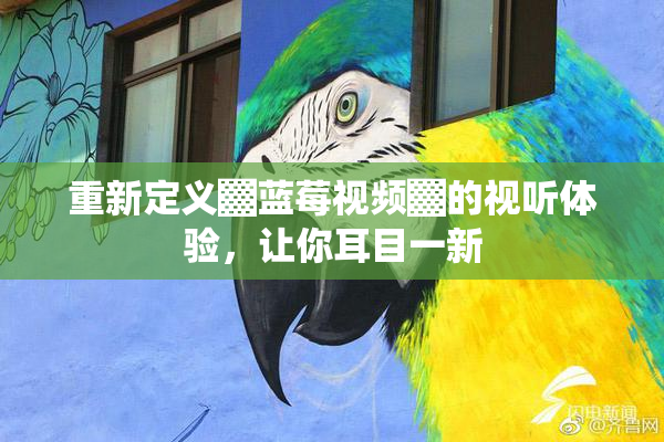 重新定义▓蓝莓视频▓的视听体验，让你耳目一新
