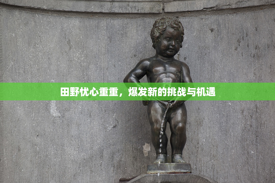 田野忧心重重，爆发新的挑战与机遇