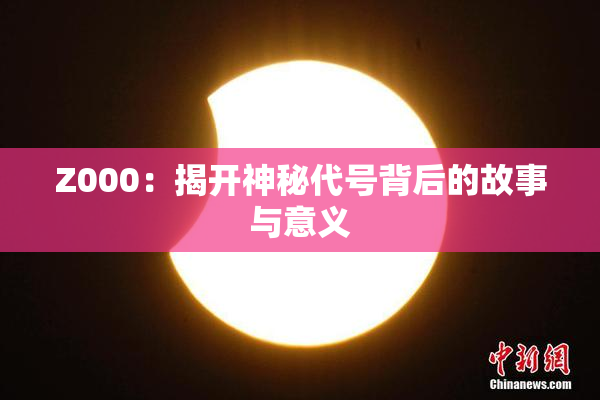 Z000：揭开神秘代号背后的故事与意义