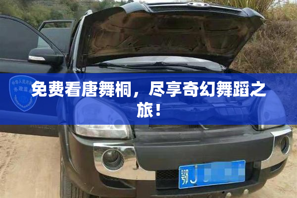 免费看唐舞桐，尽享奇幻舞蹈之旅！