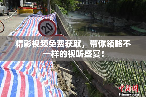精彩视频免费获取，带你领略不一样的视听盛宴！