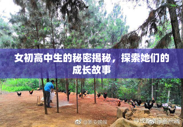 女初高中生的秘密揭秘，探索她们的成长故事