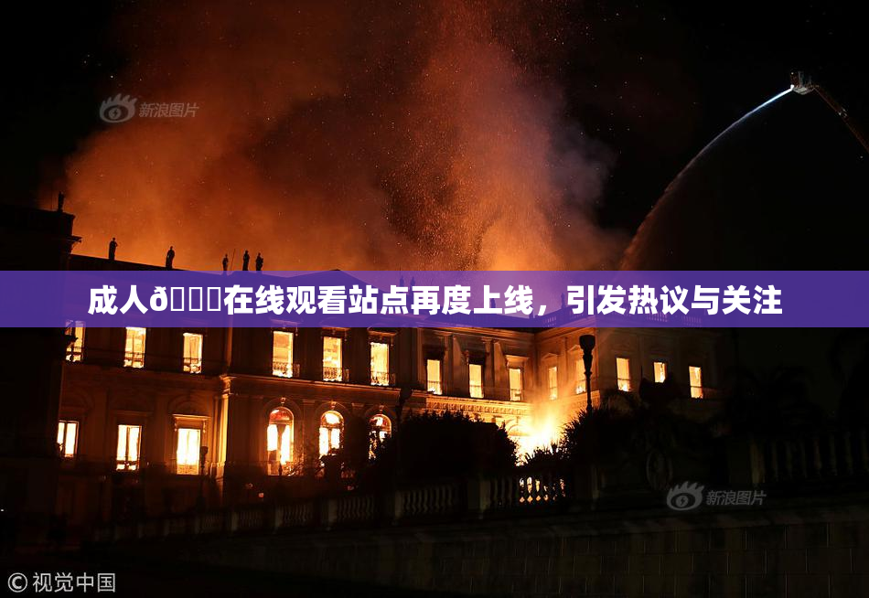 成人🔞在线观看站点再度上线，引发热议与关注