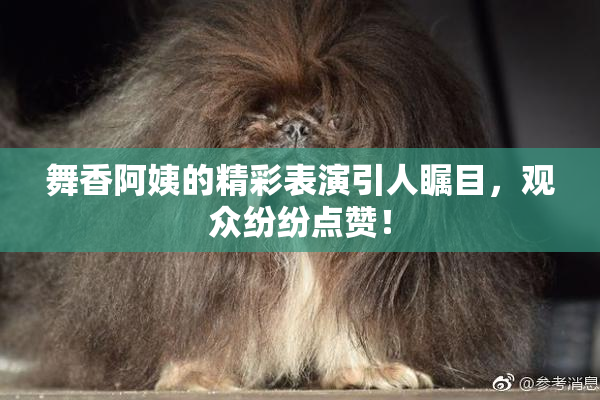 舞香阿姨的精彩表演引人瞩目，观众纷纷点赞！