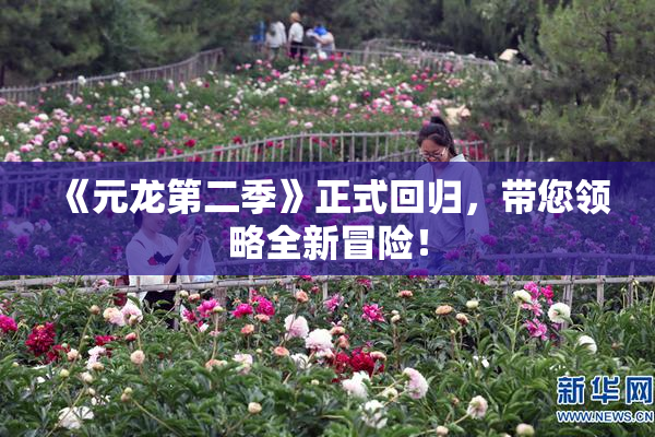 《元龙第二季》正式回归，带您领略全新冒险！