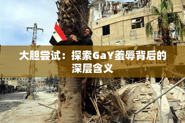 大胆尝试：探索GaY羞辱背后的深层含义