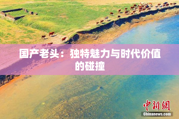 国产老头：独特魅力与时代价值的碰撞