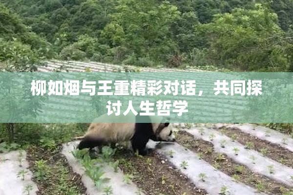 柳如烟与王重精彩对话，共同探讨人生哲学