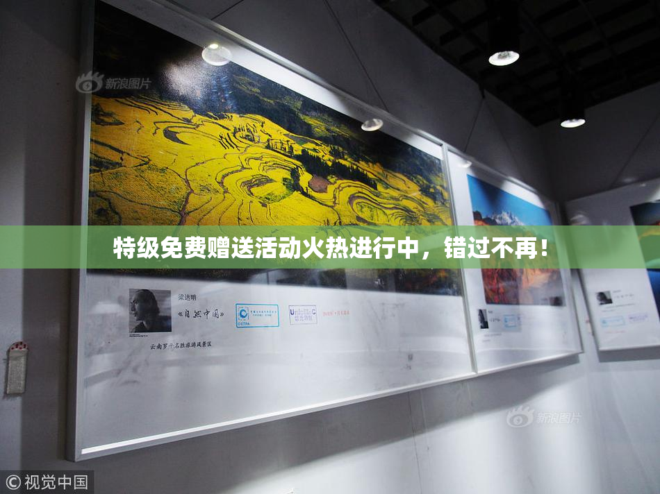 特级免费赠送活动火热进行中，错过不再！