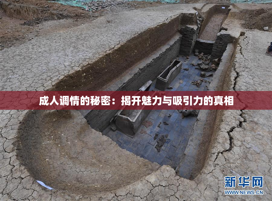 成人调情的秘密：揭开魅力与吸引力的真相
