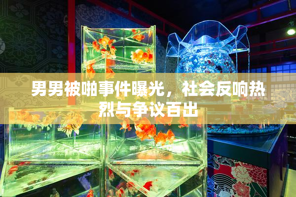 男男被啪事件曝光，社会反响热烈与争议百出