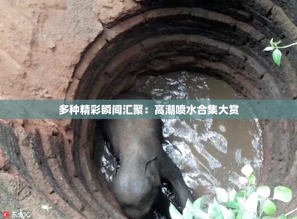 多种精彩瞬间汇聚：高潮喷水合集大赏