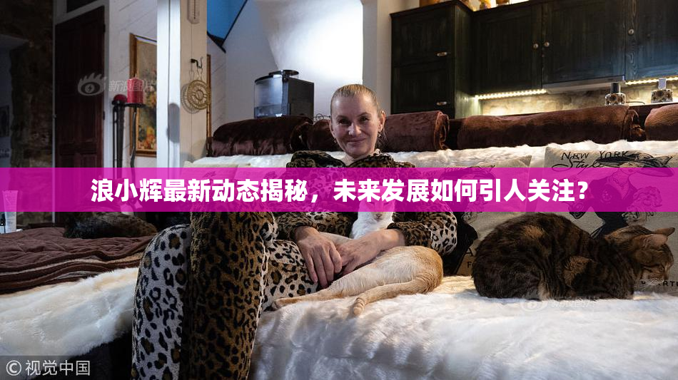 浪小辉最新动态揭秘，未来发展如何引人关注？