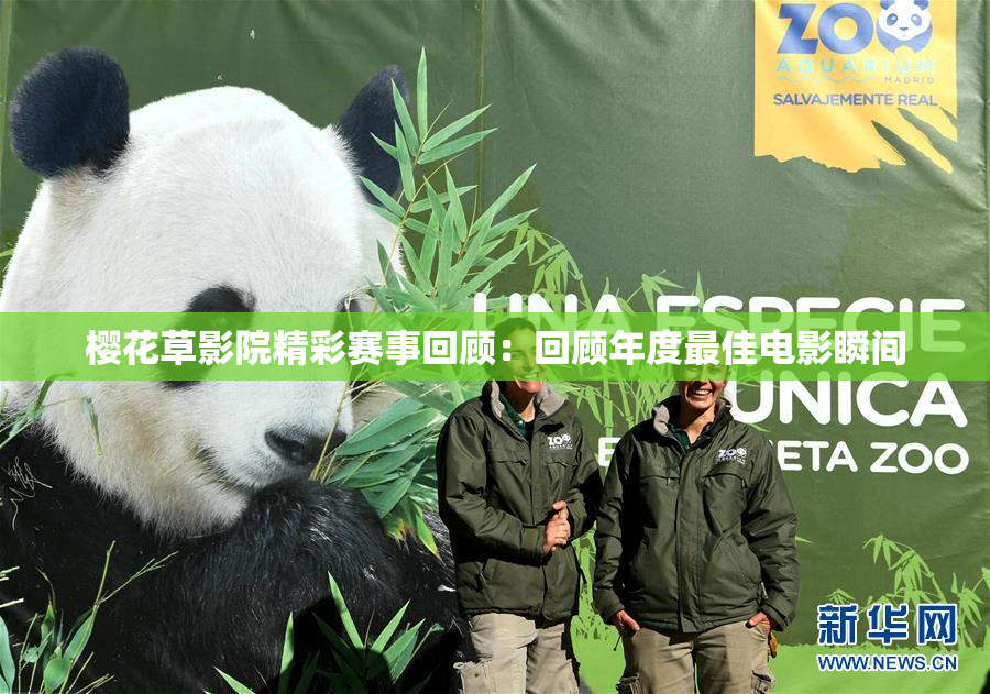 樱花草影院精彩赛事回顾：回顾年度最佳电影瞬间