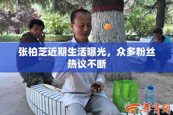 张柏芝近期生活曝光，众多粉丝热议不断